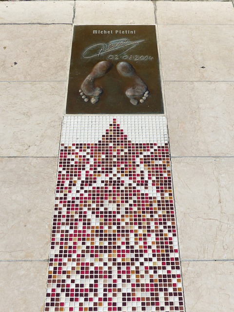 不仅可以避 不仅可以避