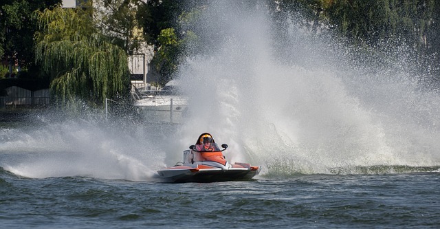 迷忠誠的機 迷忠誠的機