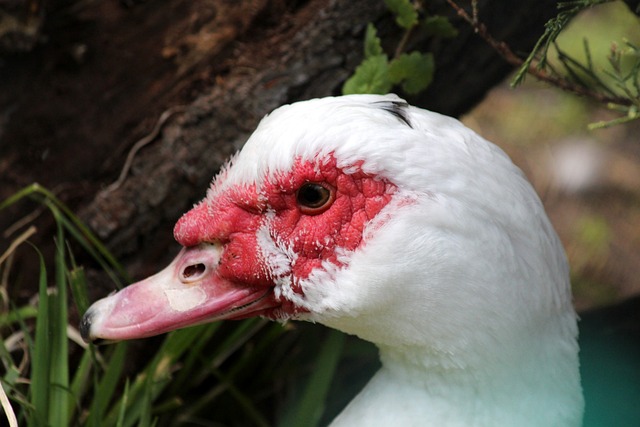 类似的情况 类似的情况