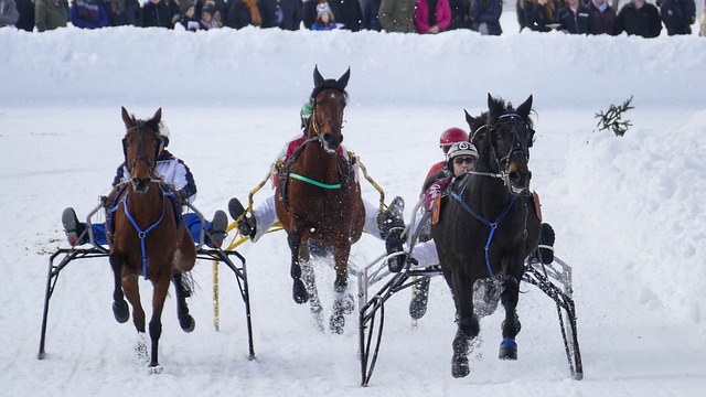我们可以从 我们可以从