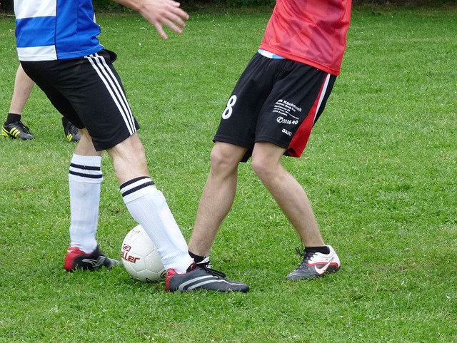 帕利尼亞曾 帕利尼亞曾