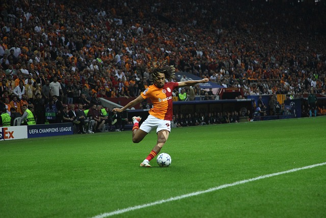 显而易见 显而易见