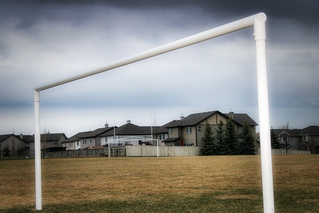 与此同时 与此同时