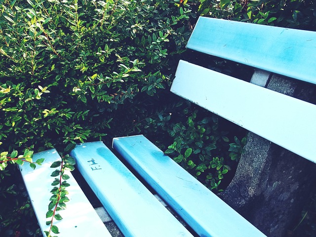 迷失不仅在 迷失不仅在